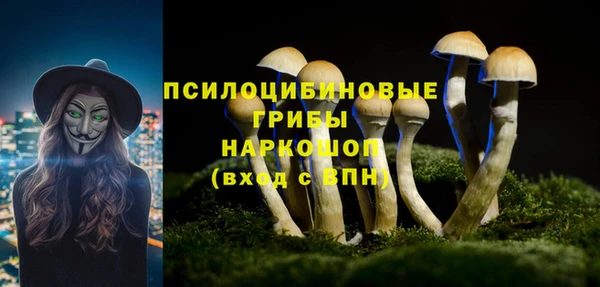круглые Инсар