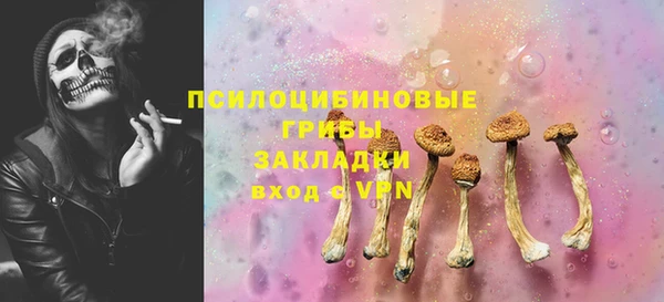 прущие грибы Нестеровская