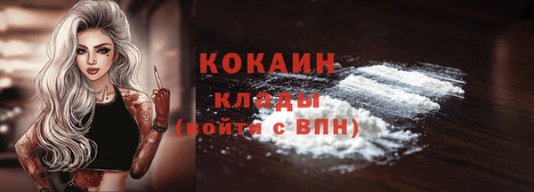 прущие грибы Нестеровская