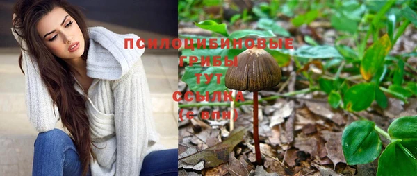 ГАЛЛЮЦИНОГЕННЫЕ ГРИБЫ Зеленокумск