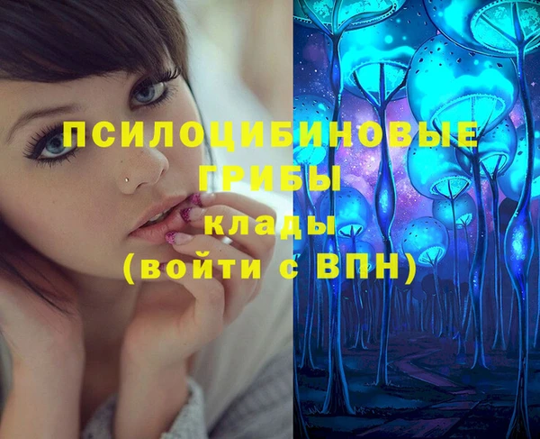 круглые Инсар