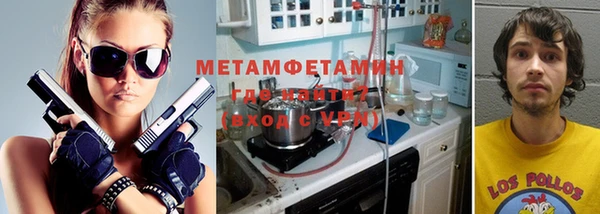прущие грибы Нестеровская